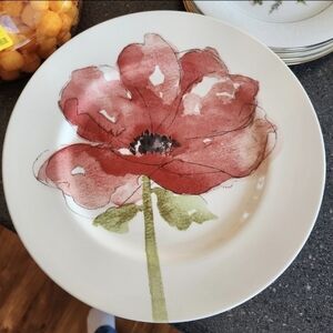 2 Royal Stafford Burlsem 11" Red Poppy Flower Dinner Plates